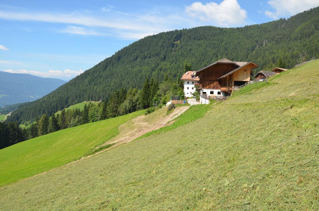 Baerntalerhof Vila Falzes Exterior foto
